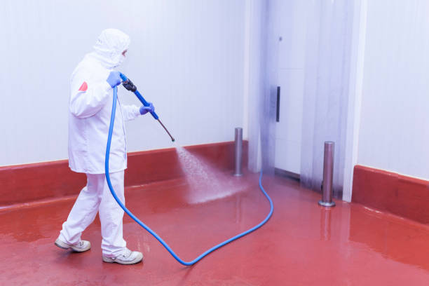 Best Paint Preparation  in Grandview, TX